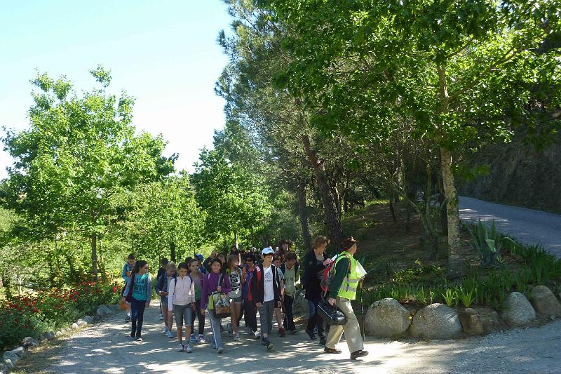 P1080279 [Résolution Originale].JPG